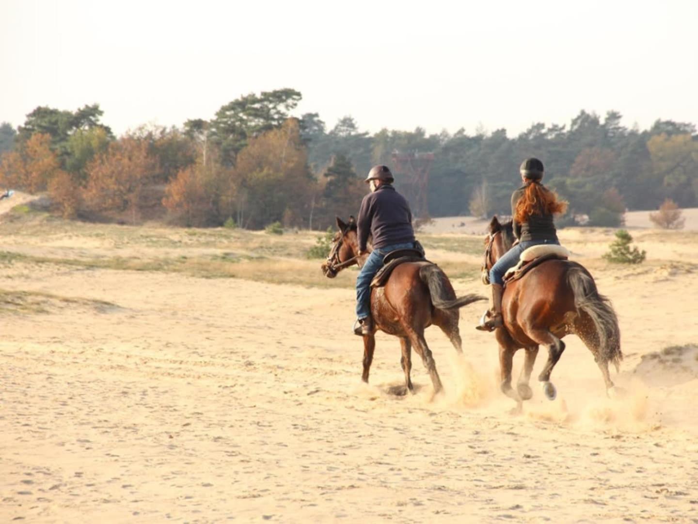 Vakantiehuis Op Rustig Bospark Veluwe Voorthuizen Luaran gambar