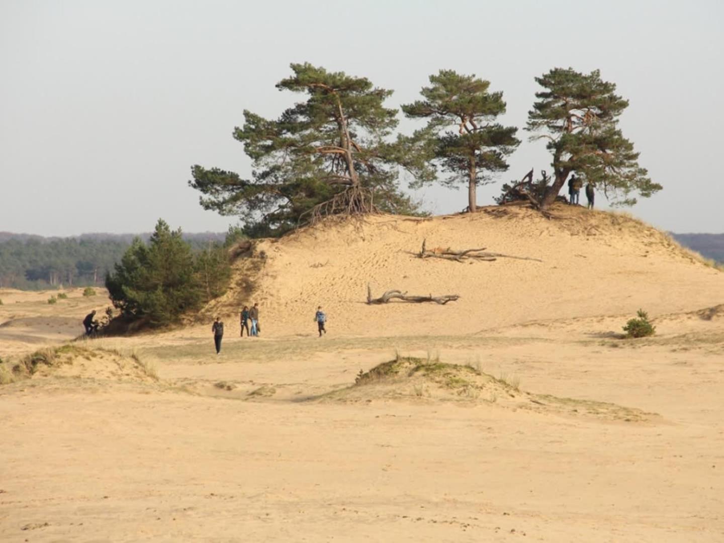 Vakantiehuis Op Rustig Bospark Veluwe Voorthuizen Luaran gambar