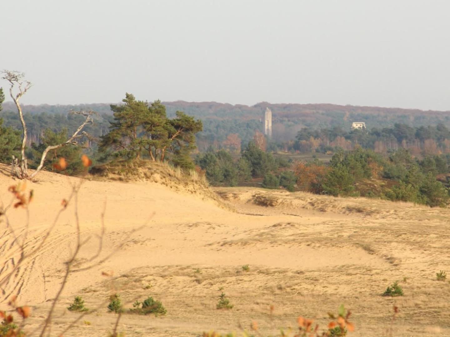 Vakantiehuis Op Rustig Bospark Veluwe Voorthuizen Luaran gambar