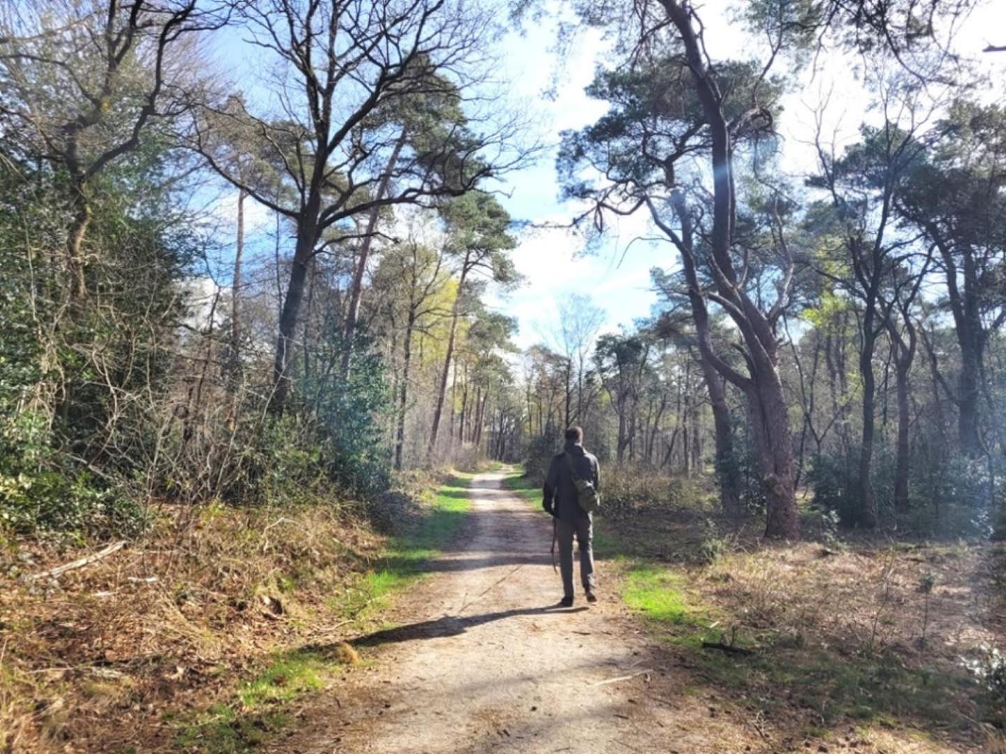 Vakantiehuis Op Rustig Bospark Veluwe Voorthuizen Luaran gambar